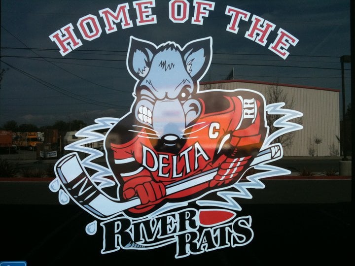 208447_197196370316406_6882697_n