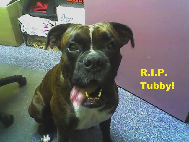 1010194_560926137279748_1010508824_n