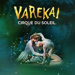 10336691_10153393940562565_248143430902043124_n 10336691_10153393940562565_248143430902043124_n