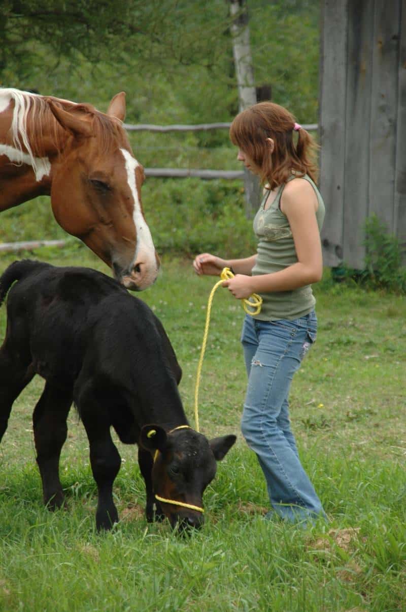 10387071_502556956539937_6646459588205392852_o