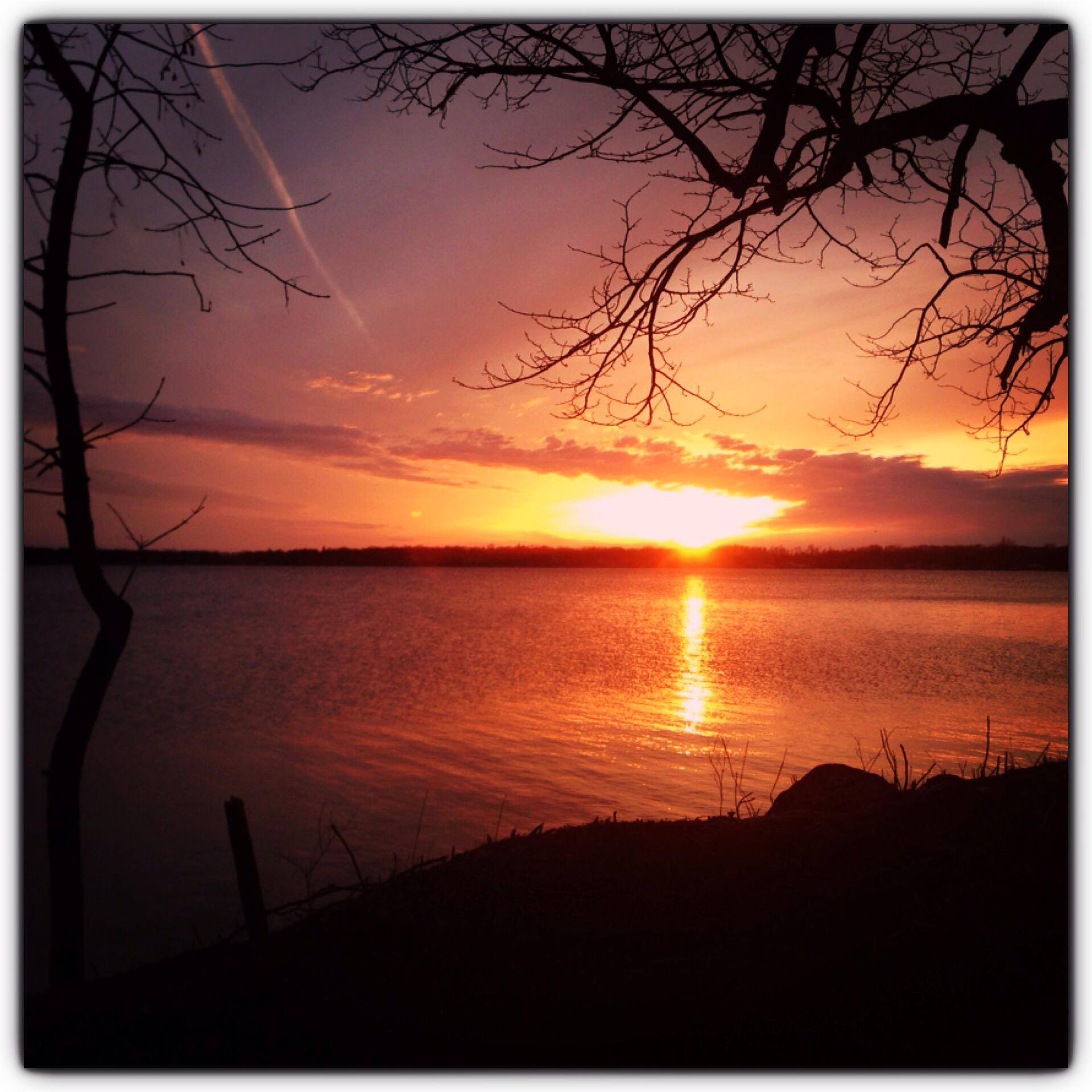 Maple Lake Pavilion Roller/Inline Skating Rink Roller Skating Rinks