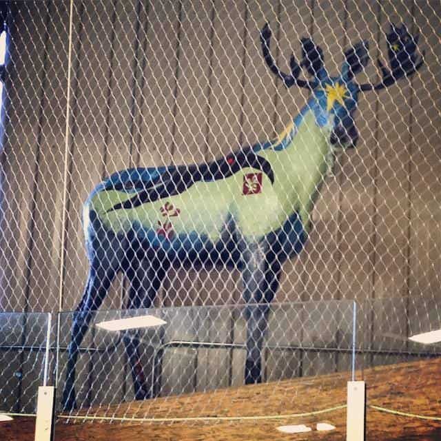 11018117_283801735076762_5038308915369166757_n