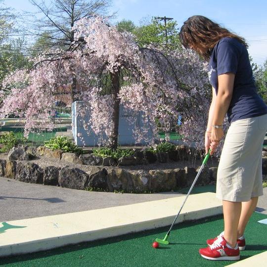 11116554_804204756295194_7675826406568468251_n