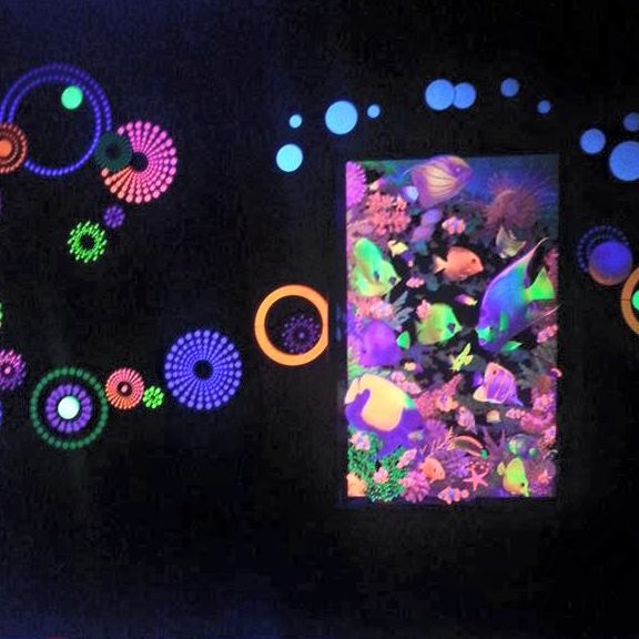 11752535_10153543467944744_3248493068804650312_n