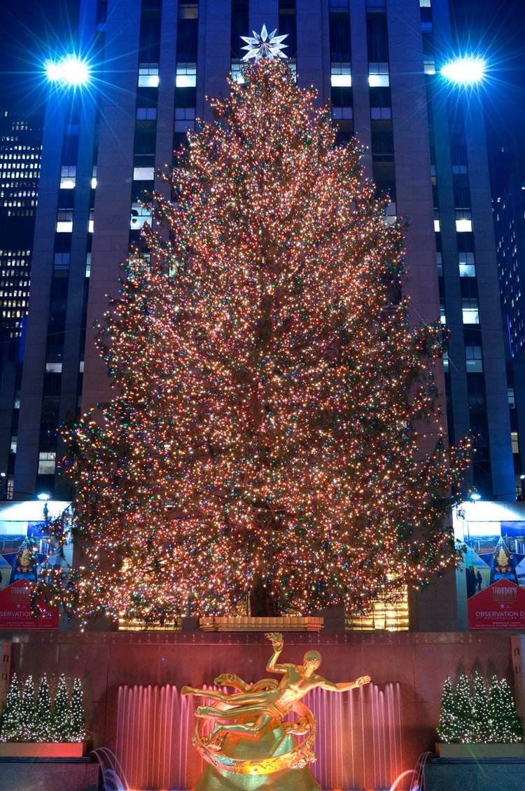 133109_173431939344480_3540330_o