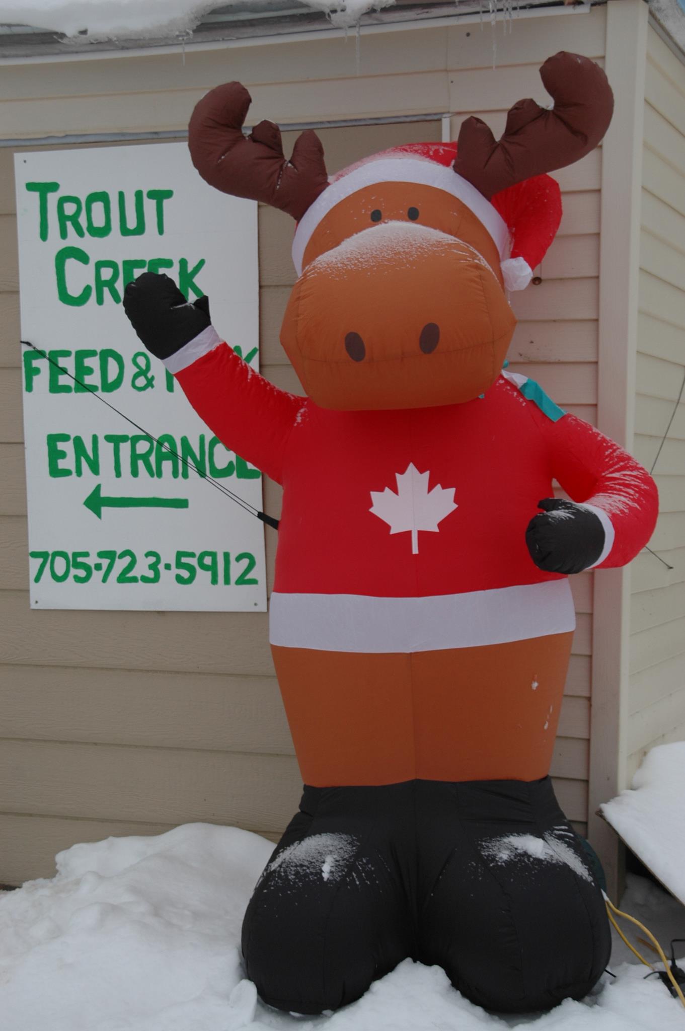 1402122_410074112454889_1728514572_o