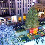 1466293_673218876032448_623020848_n