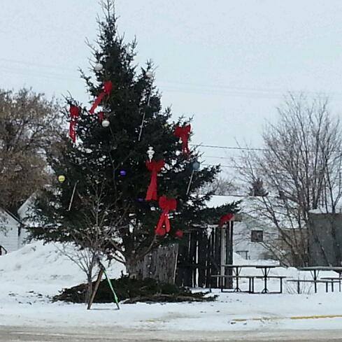 1471930_669514019745774_2065817766_n