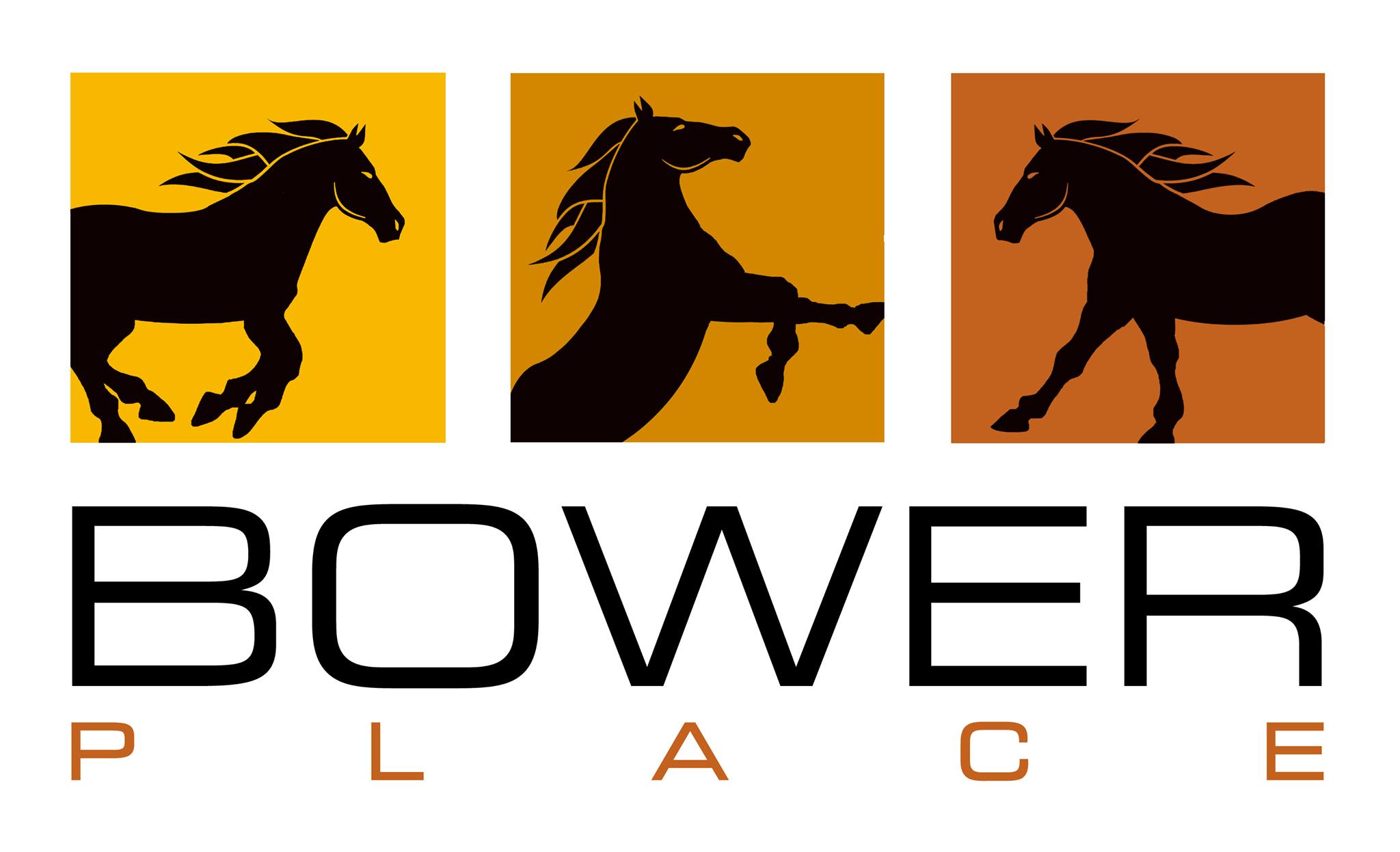 Bower Place Ice Skating Rinks in Red Deer AB