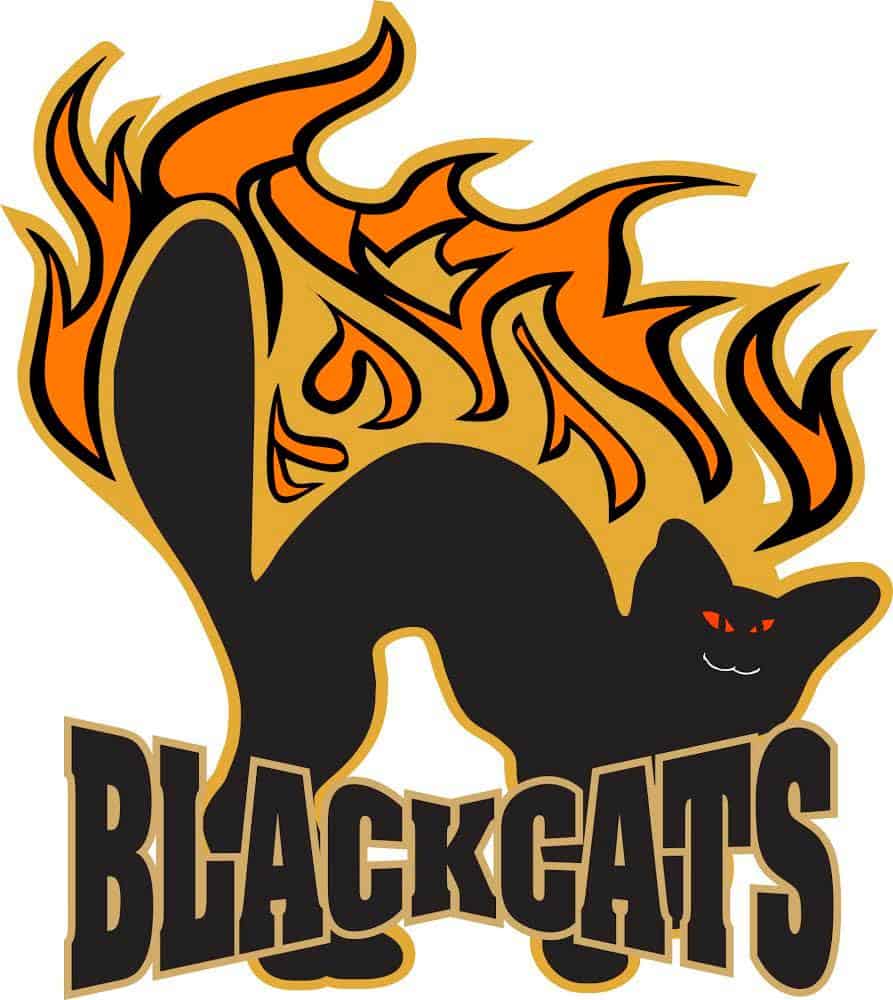 1782562_809033565825461_9007232824420386025_o