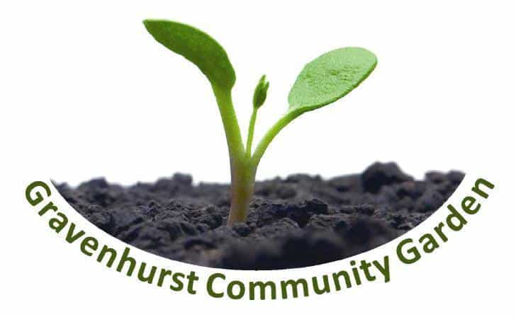 1798823_1428942834018145_1492289265_n