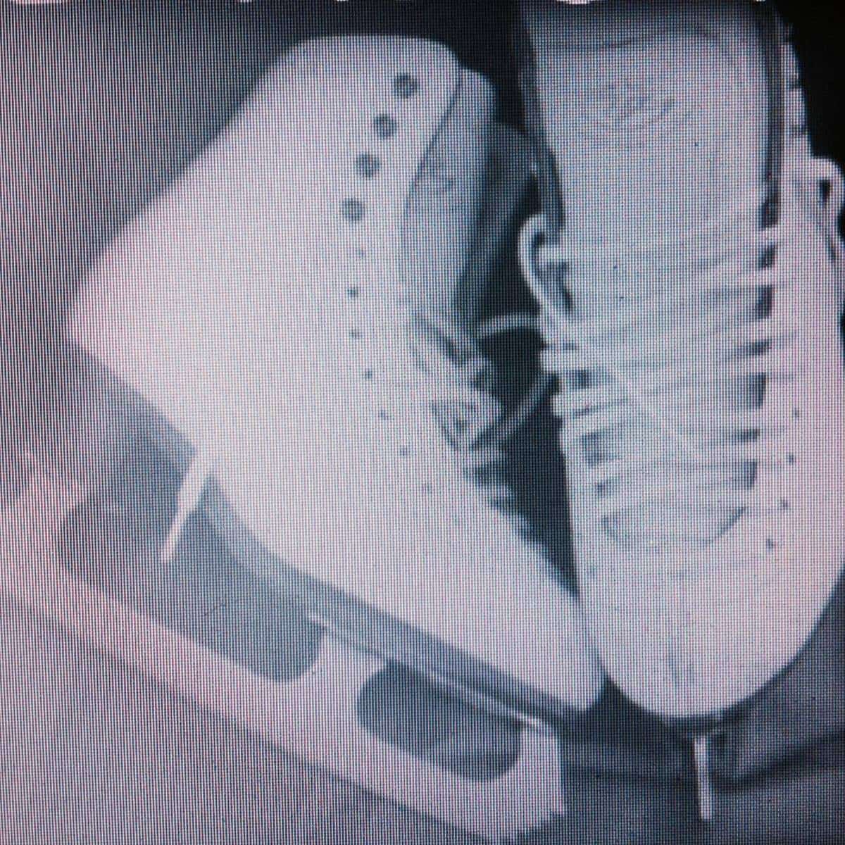 1913506_555587871215742_2004554466_o