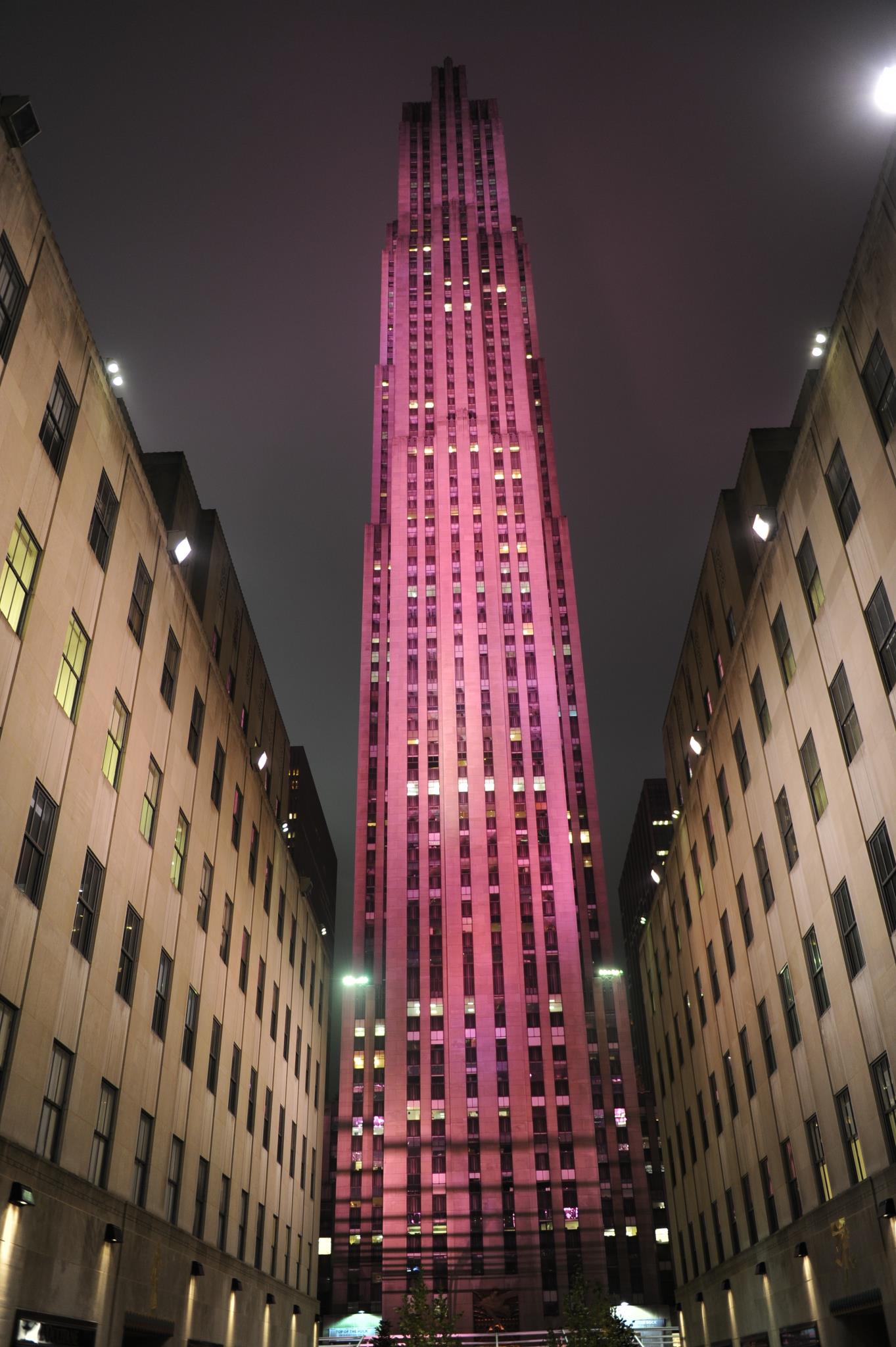 286818_275701385784201_513604556_o