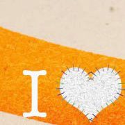 29034_502819726428265_1998485263_n