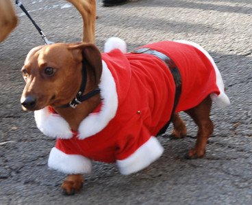 379132_299179460114482_630271093_n