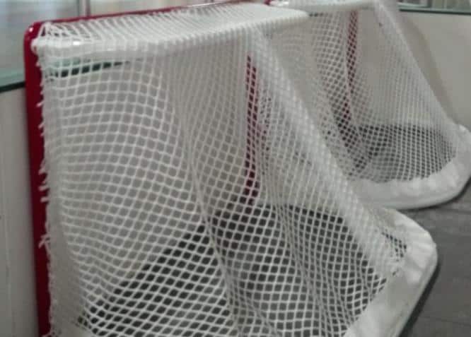 552255_10151025168658713_936619082_n