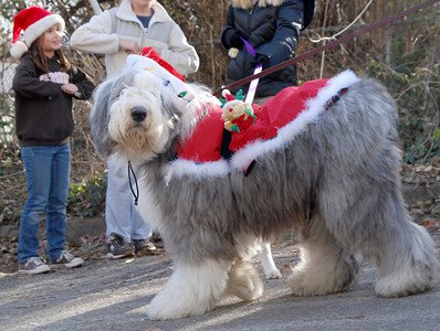 63928_171397102892719_6933566_n