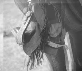 67080_253095904819378_1043533541_n