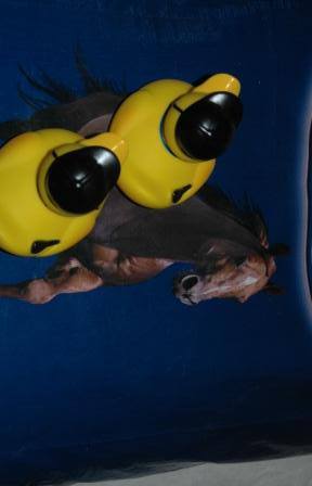 9088_330881863707448_1092221141_n