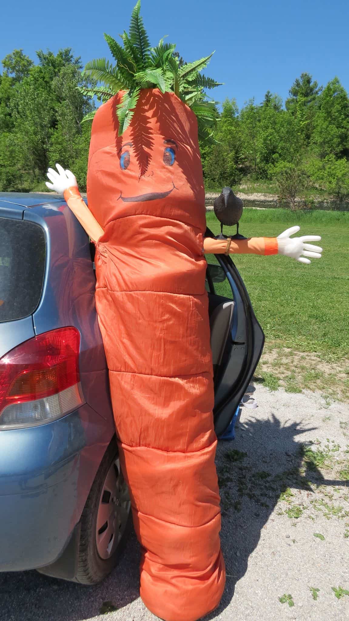 10353297_259256414266548_5850244611407706571_o