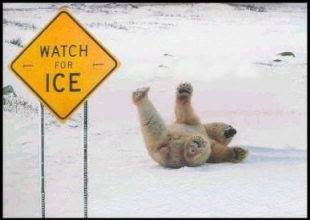 10414456_10152461093436479_9021307804169249845_n