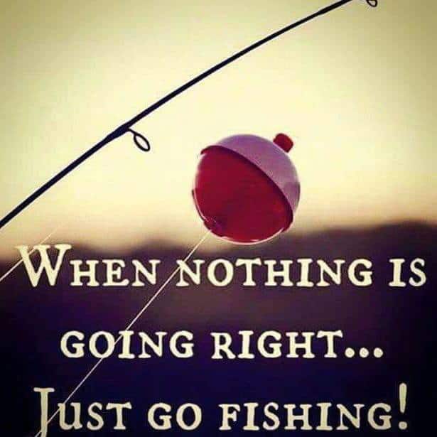 11264020_838972132845792_619805224571779475_n 11264020_838972132845792_619805224571779475_n