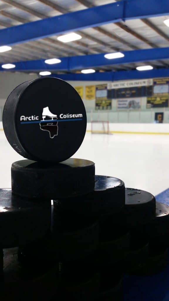 Arctic Coliseum Ice Skating Rinks in Chelsea MI