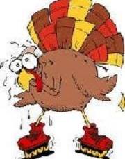 1465387_697667176919325_31351276_n