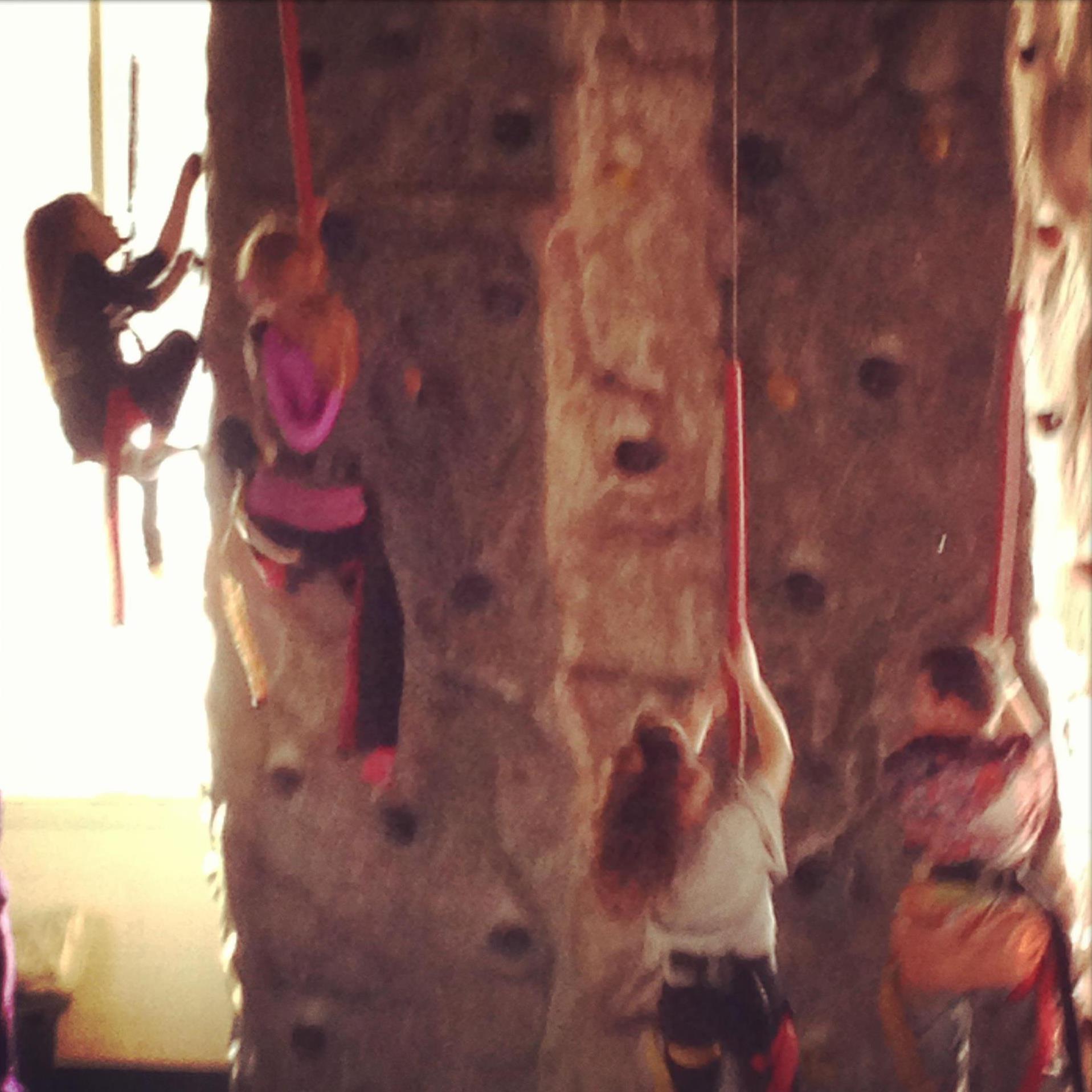 Marple Sports Arena Roller Skating Rinks in Broomall PA